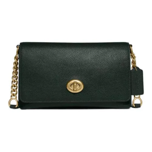 COACH Crosstown Кожа Сумка через плечо Маленькая квадратная сумка Средний размер Женская Яшмовый