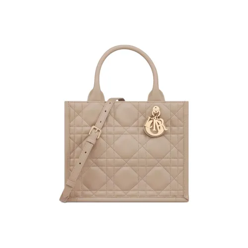 DIOR BookTote Телячья кожа Тоут Сумка Сумка для покупок Сумка Маленькая Женская Тауповая