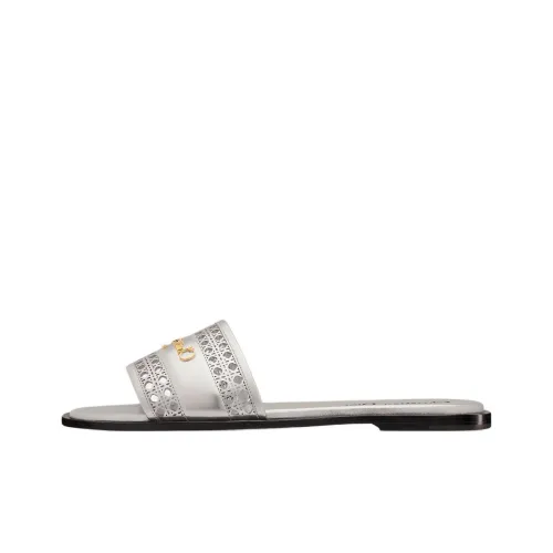 DIOR D Lane Слипоны Женские Серебряные