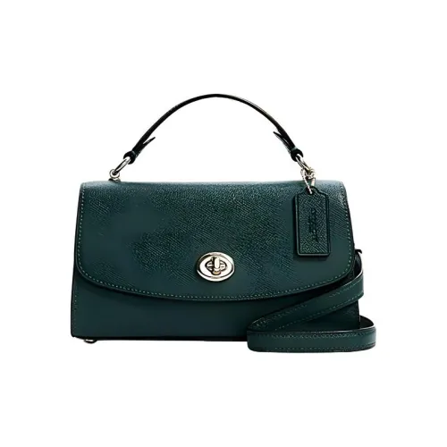 COACH Tilly Кожа Сумка через плечо Сумка Маленькая Женская Яшма