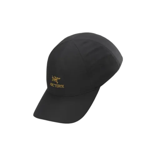 Arcteryx Полиэстер Кепки Унисекс