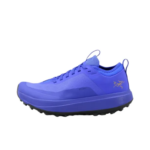 Arcteryx SYLAN GTX Slip-resistant Abrasion-resistant Low-top Trail Running Shoes Women's Blue Арктерикс SYLAN GTX Противоскользящие Износостойкие Низкие Кроссовки для Беговых Пути Женские Синие