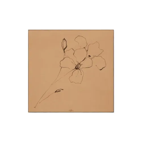 Loro Piana Шарфы Женские из тутового шелка