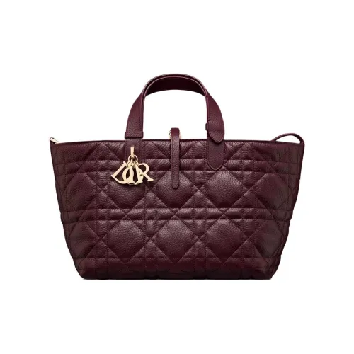 DIOR Toujours Телячья кожа Сумка Indigenous Tote Сумка Shopping Bag Сумка Medium Женская Burgundy