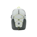 Ледниково-серый