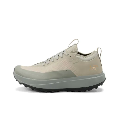 Arcteryx SYLAN GTX Амортизация Низкий Топ Беговые кроссовки Женские Трава Feed Зеленый