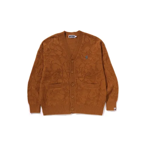 A BATHING APE VERY PREP Collection SS25 Трикотаж Унисекс