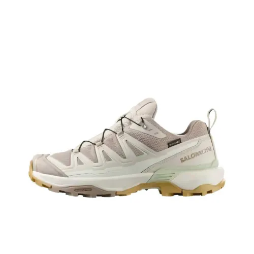 Salomon X Ultra 360 Альпинистские и туристические ботинки Низкий верх Серый Бежевый Женский