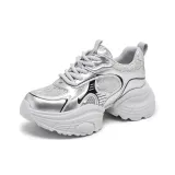 Серебристо-черный