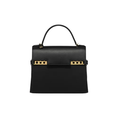 Delvau Tempête Шелковистый Гладкий Телячья кожа Тоут Сумка Сумка для покупок Сумка Средний Женские Черный