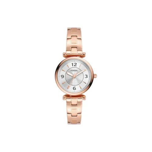 FOSSIL Наручные часы Кварцевый механизм Нержавеющая сталь Ремешок 28 мм Серебристый циферблат Женские часы