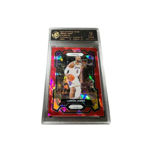 PANINI Los Angeles Lakers LeBron James Little EMPEROR Red Ice Shatter Holographic Card RPA High Score Star Card