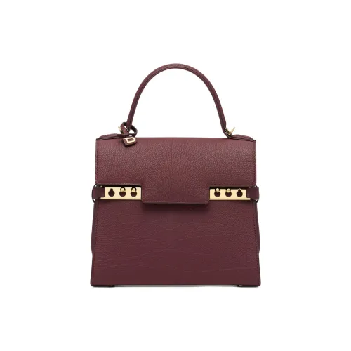 Delvau Tempête Телячья кожа Сумка Женская Бордовый