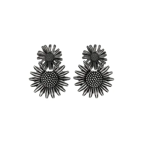 ZARA Металл Серьги Женские Серебряные