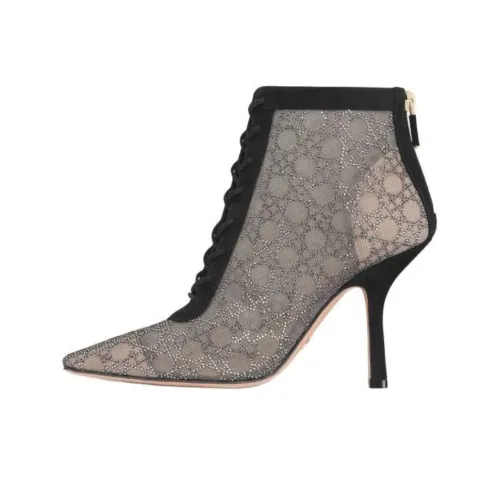 DIOR Capture Ботильоны 10 см Женские Серебряные