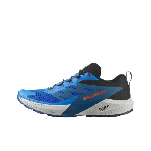 Salomon Sense Ride 5 Беговые кроссовки Низкий топ Французский синий/Черный/Темно-синий Мужской
