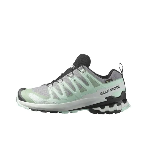 Salomon Collaboration XA Pro 3D V9 Беговые кроссовки Низкий топ Бирюзовый/Светло-серый/Черный Женские