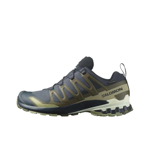 SALOMON XA Pro 3D V9 Устойчивые к истиранию Низкие Кроссовки для Бега Мужские Серые