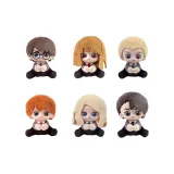 2 Сюрприз-бокса (Случайный стиль)