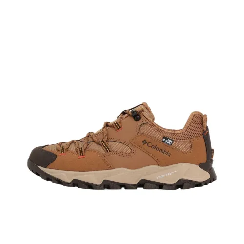 Columbia Casual Низкий Топ Коричневый Женский