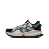 Пемза/Темно-сосновый зеленый