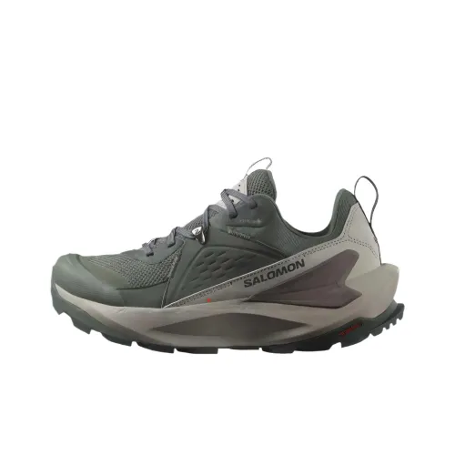 SALOMON Elixir Легкий Низкий Топ Походная обувь Унисекс Кремниево-серый
