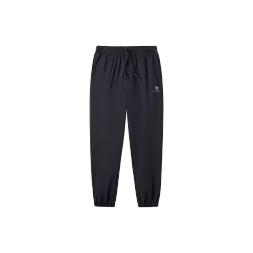 CAMEL Гигроскопичность Быстросохнущий Легкий Эластичный Дышащий Брюки с эластичными манжетами Повседневные Мужские Призрачный Черный