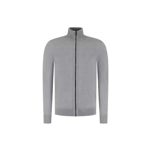 Hugo Boss Серый Мужской Трикотаж