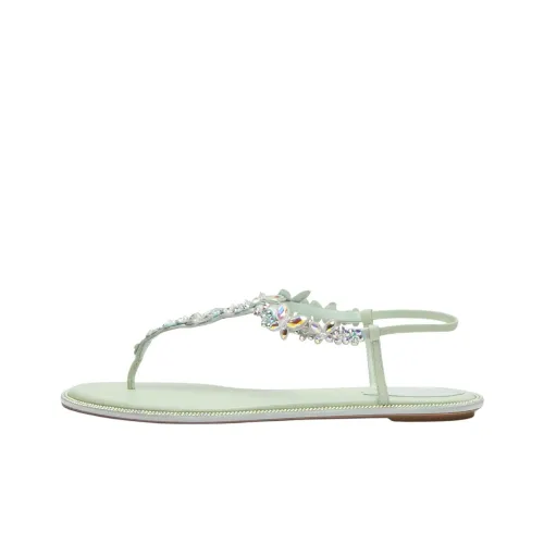 RENE CAOVILLA Шлепанцы Женские Зеленые