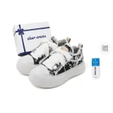 Полярный Ночной Галактический