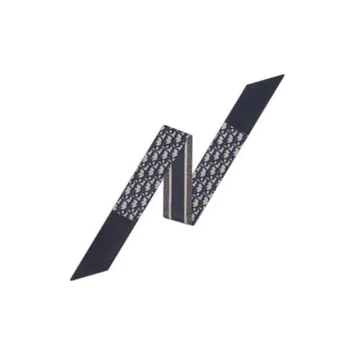 DIOR Шелковые шарфы из саржи унисекс морской синий