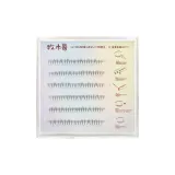 Нижние кисть для туши Клей-он Стиль [Милые лапки] Средняя коробка из 48 кластеров