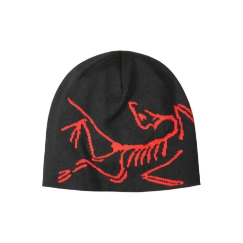 Arcteryx Пряжа Хлопок Полиэстер Шапки-бини Унисекс Черный