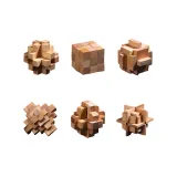 Цвет бука, шестичленный набор, уровень сложности 4 [средняя школа, набор]