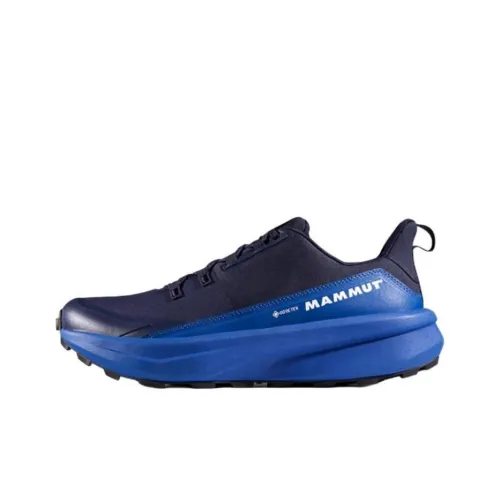 MAMMUT Aenergy Slip-resistant Abrasion-resistant Low Top Hiking Shoes Men's Blue MAMMUT Aenergy Противоскользящий Устойчивый к истиранию Низкий Топ Походная обувь Мужской Синий