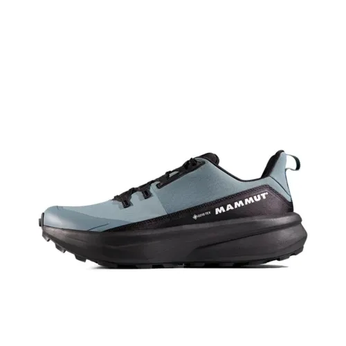 MAMMUT Aenergy Slip-resistant Abrasion-resistant Low Top Hiking Shoes Men's Blue Black MAMMUT Aenergy Противоскользящий Устойчивый к истиранию Низкий Топ Походная обувь Мужская Синий Черный