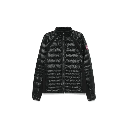 Canada Goose Down Jacket Men's Black