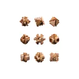 Цвет бука Девятичленный комплект B Улучшенный, Рекомендуется для начальной школы