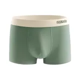 Дерево зеленого цвета