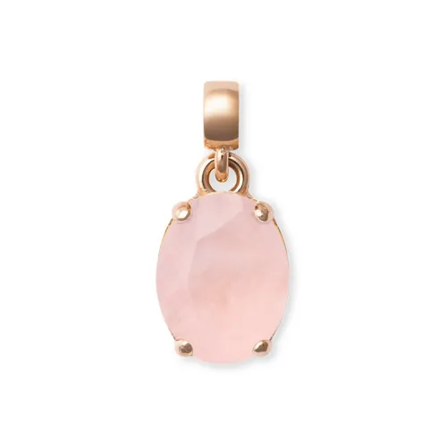 Daniel Wellington CHARMS Whisper Сплав Подвески Женские