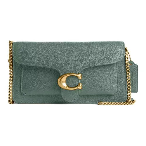 COACH Tabby Полированная Галечная Кожа Плечевая Сумка Маленькая Женская Шалфейно-Зеленая