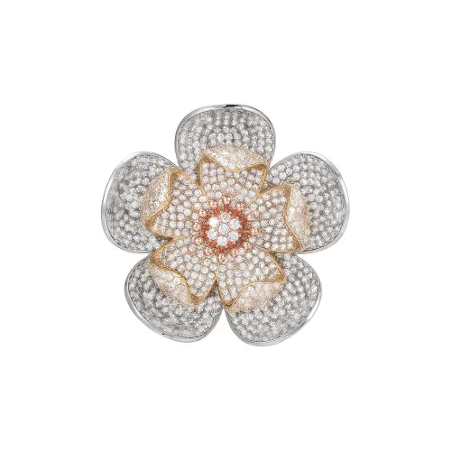 Marco Bizzarri Броши Женские