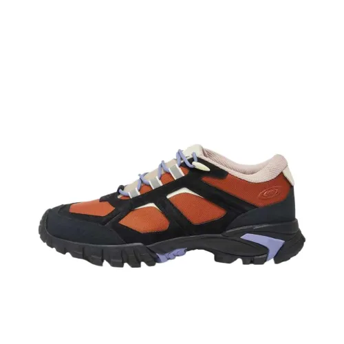 Oakley SIERRA TERRAIN Повседневный Низкий Топ Оранжевый Красный Мужской