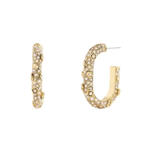 COACH Латунь с покрытием стекло CUBIC циркон титановые серьги женский золото