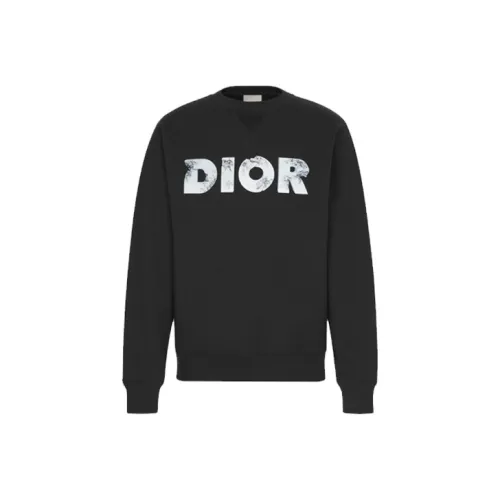 DIOR Quarterly New Products Мужские Свитшоты