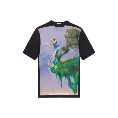 Valentino Черные Мужские T-Рубашки