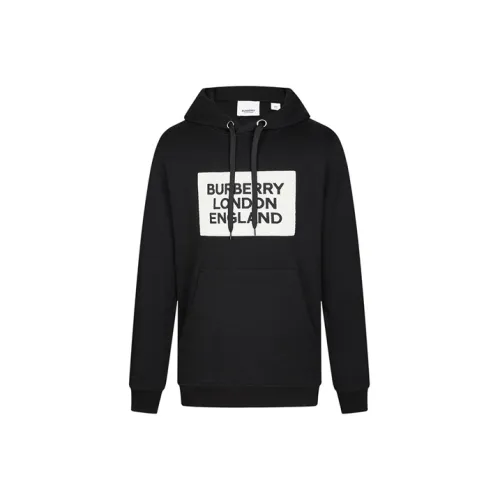 Burberry Мужские Свитшоты