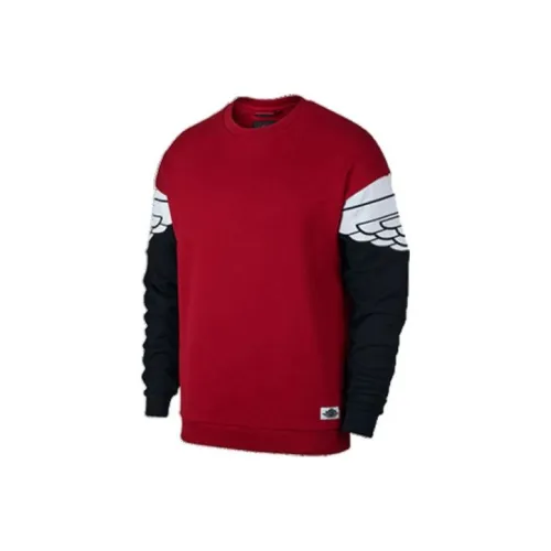 Джордан Мужские Свитшоты