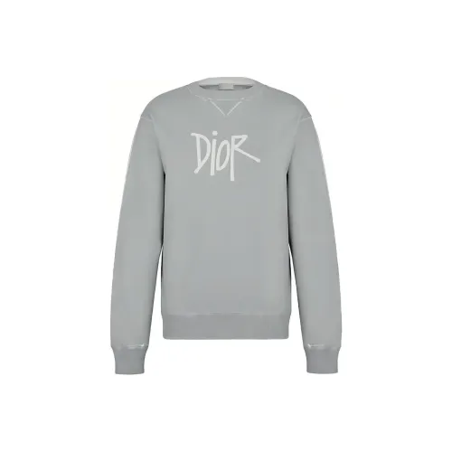 DIOR Quarterly New Products Серый Мужской Свитшот