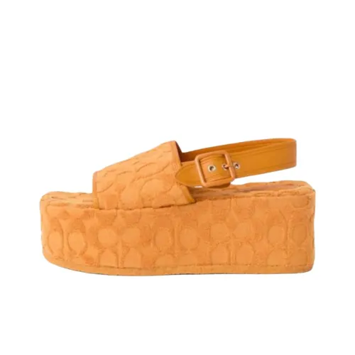COACH One Ремень Сандалии Женские